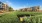 green lawn area in between buildings