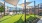 Outdoor lounge at our apartments in Flower Mound, featuring a shade structure, and a view of the pool area.