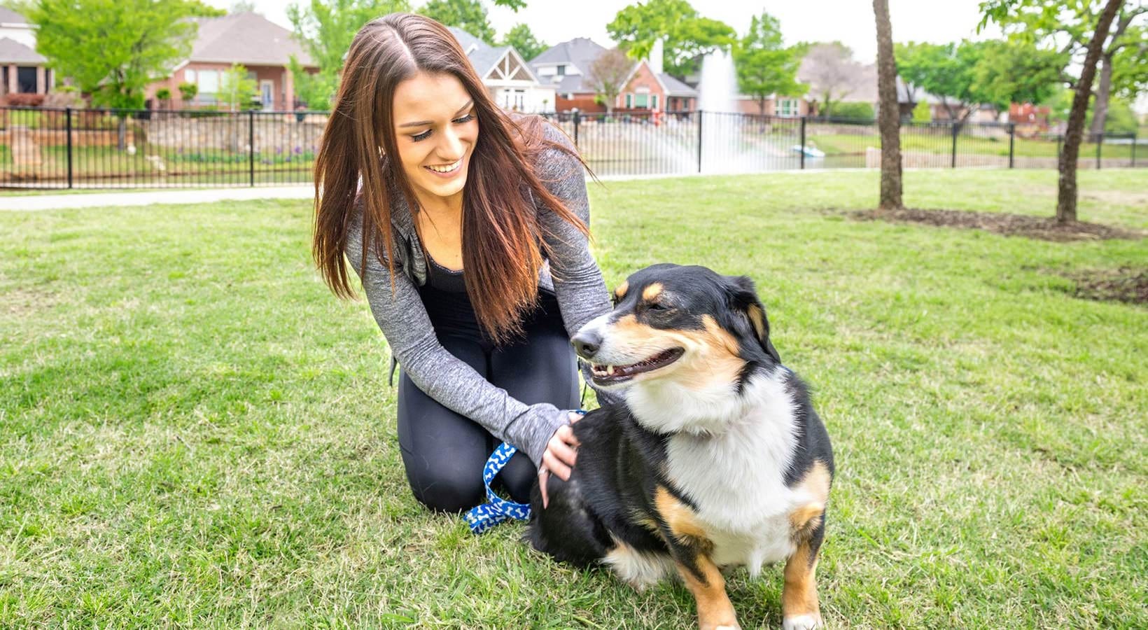 pet-friendly  Photograph of someone petting a dog on a grassy field. The dog is a corgi and a fountain is visible in the background.